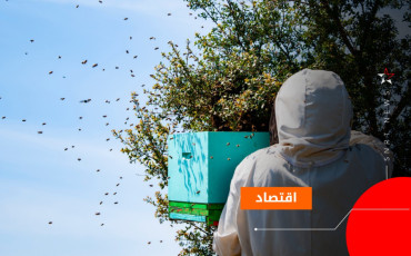 النحل