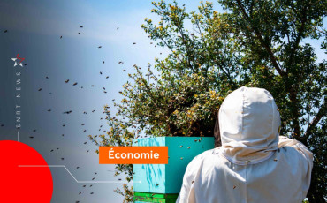 Apiculture 