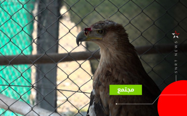 طائر إسباني