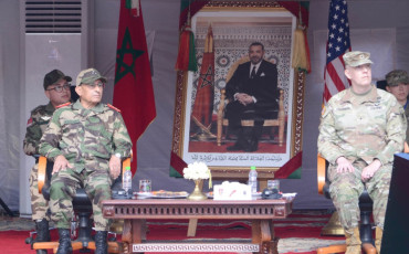 الأسد الإفريقي