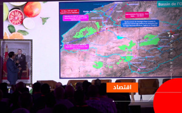 من المؤتمر الوطني للحوامض بمراكش