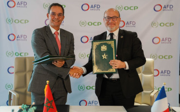 OCP/AFD