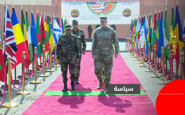 الاسد الافريقي