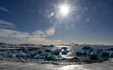 Iceberg