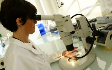 Recherche scientifique