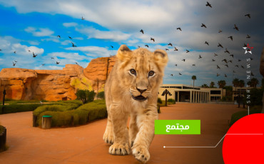 zoo