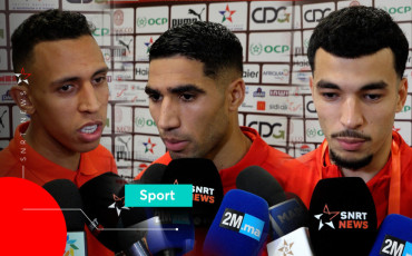 Lions de l'Atlas 