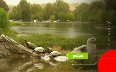 بحيرة أمغاس