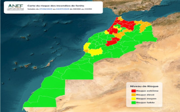 Carte ANEF