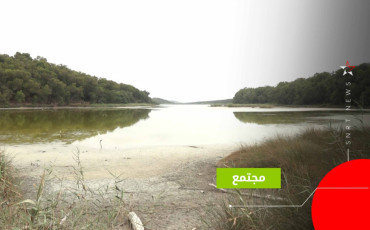 وبغابة