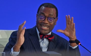  Akinwumi Adesina