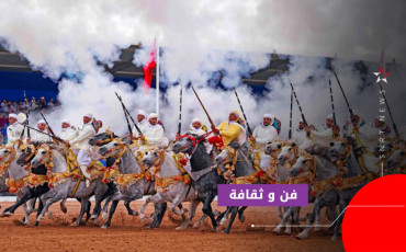  الفروسية بمهرجان تيفلت