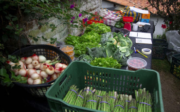 Les produits bio