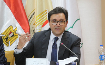 وزير الثقافة المصري أحمد فؤاد هنو،