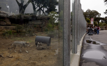 zoo