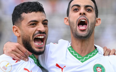 Lions de l'Atlas locaux