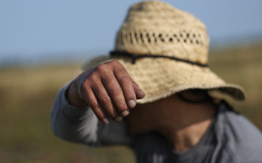 Changements climatiques