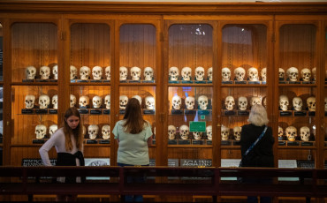 Mütter Museum 