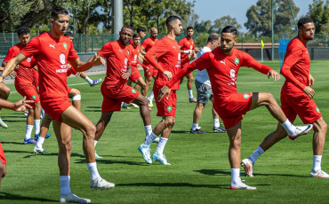 Lions de l'Atlas