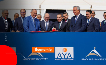 Anouar Invest