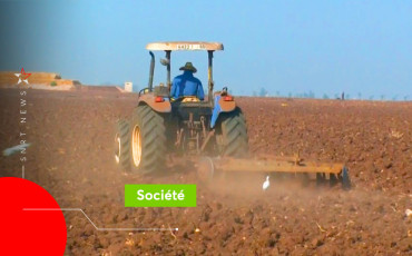 Agriculture