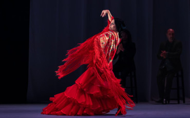 Flamenco