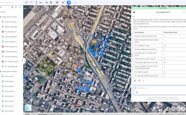 Google Earth AI