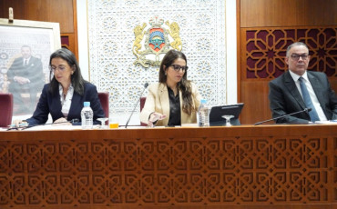 لجنة المالية والتنمية الاقتصادية 