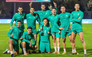 Lions de l'Atlas