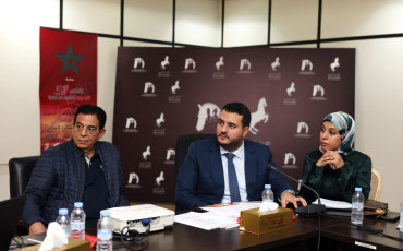 المنظمة الوطنية لمهنيي الصحة الدستوريين