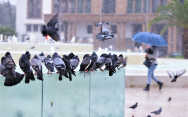 أمطار