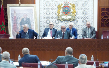لجنة الداخلية بمجلس النواب - عبد الوافي لفتيت