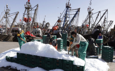 port laayoune_pêche