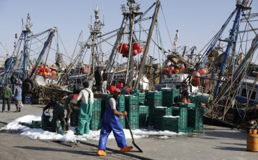 port laayoune_pêche