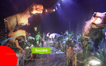 Dinosaures