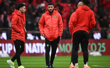 Lions de l'Atlas