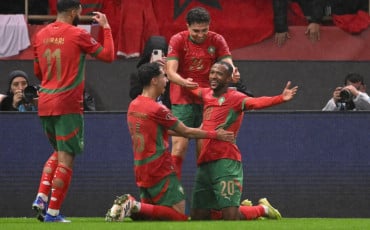 Lions de l'Atlas