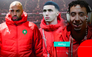 les lions
