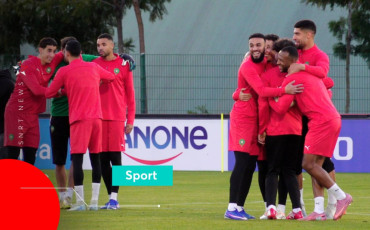 Lions de l'Atlas