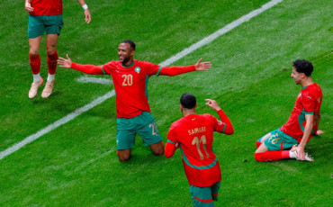 Lions de l'Atlas