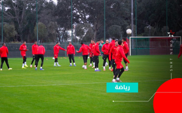 أسود الأطلس