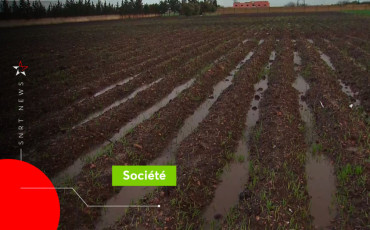 Agriculture