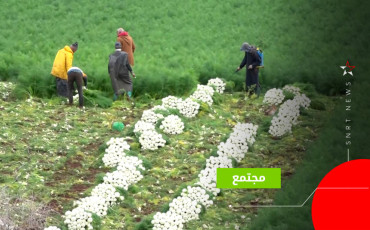فاس