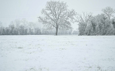 neige