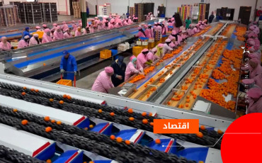 الحوامض