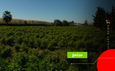سهول هوارة 