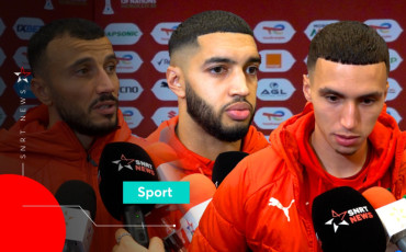 Lions de l'Atlas