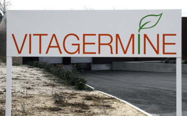 Vitagermine 