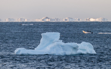 Iceberg