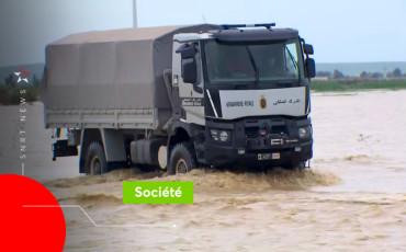 Connaisseur